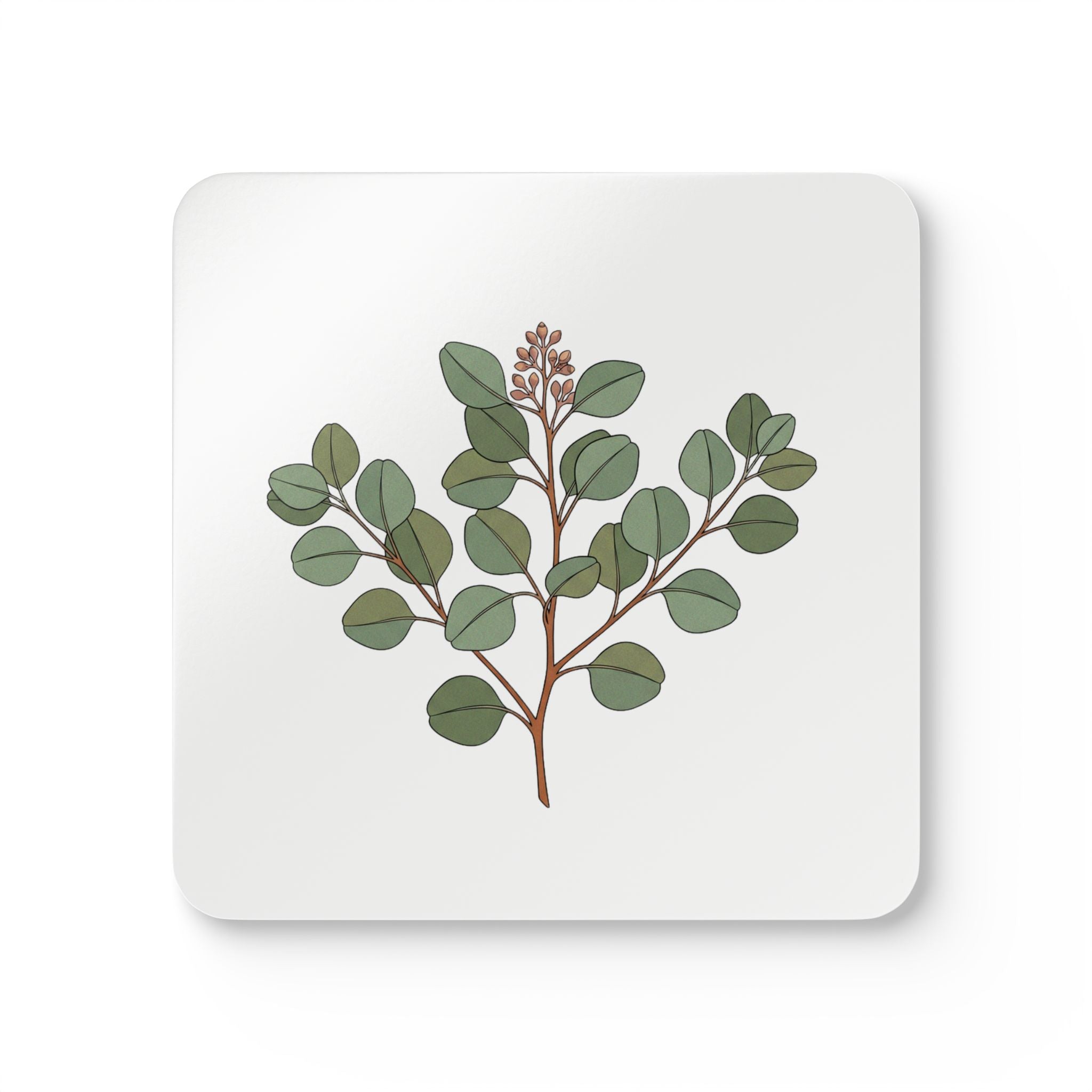 Botanical Morning Corkwood Coaster Set -- 4 Designs, Delicate Line Art — front view